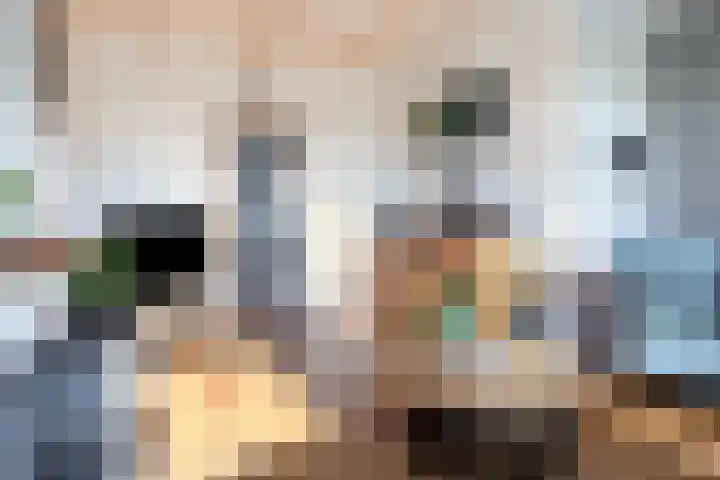 Vledderdiep 67 Nieuw-Weerdinge thumbnail 21