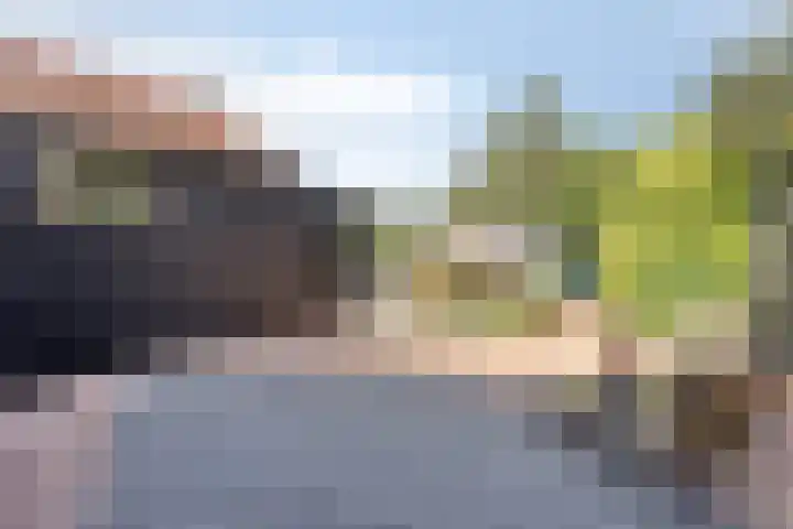 Vledderdiep 67 Nieuw-Weerdinge thumbnail 31