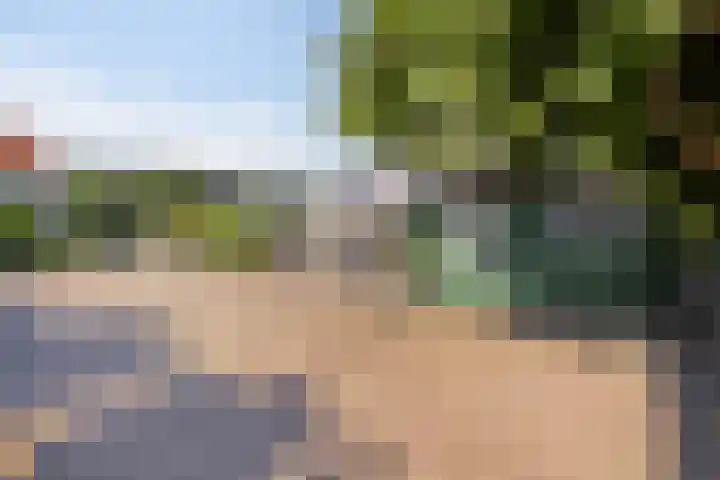 Vledderdiep 67 Nieuw-Weerdinge thumbnail 32