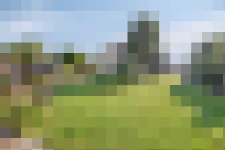Vledderdiep 67 Nieuw-Weerdinge thumbnail 37