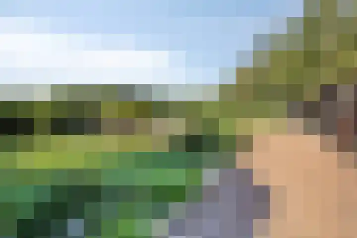 Vledderdiep 67 Nieuw-Weerdinge thumbnail 38
