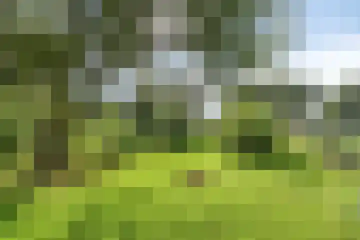Vledderdiep 67 Nieuw-Weerdinge thumbnail 39