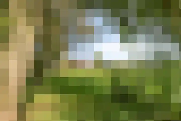 Vledderdiep 67 Nieuw-Weerdinge thumbnail 4