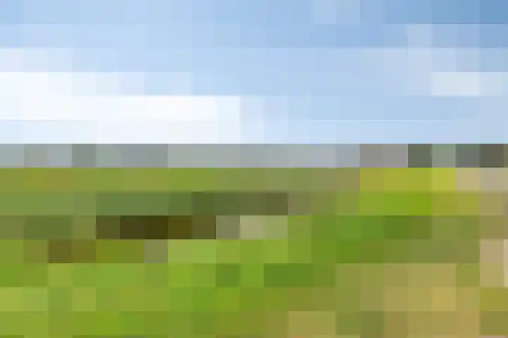 Vledderdiep 67 Nieuw-Weerdinge thumbnail 7