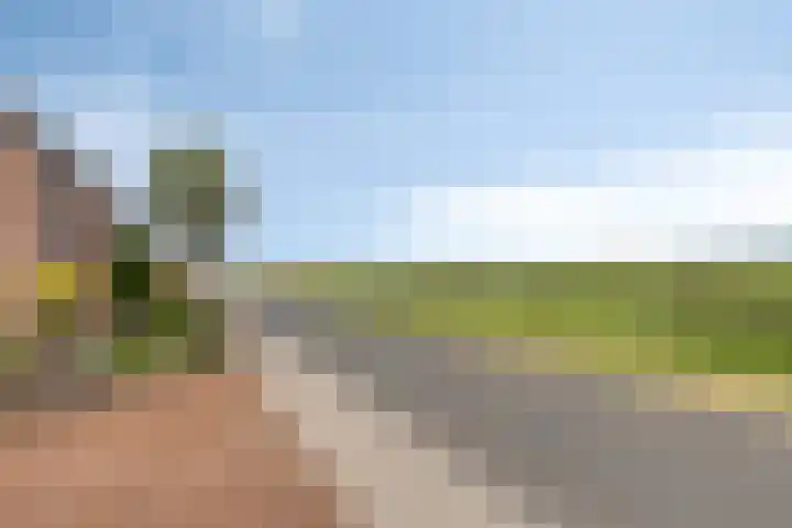 Vledderdiep 67 Nieuw-Weerdinge thumbnail 8