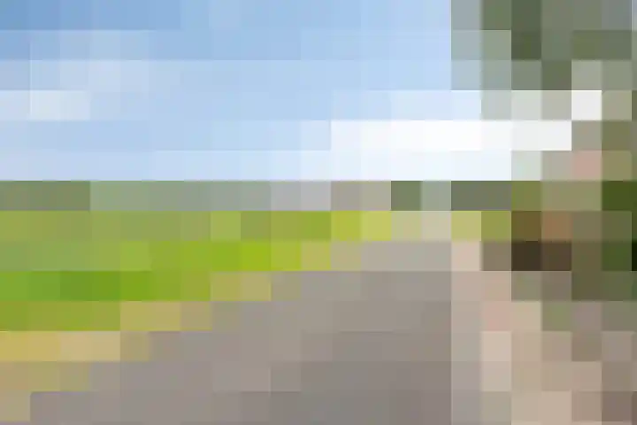 Vledderdiep 67 Nieuw-Weerdinge thumbnail 9