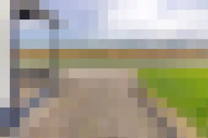 Vledderdiep 85 Nieuw-Weerdinge thumbnail 10