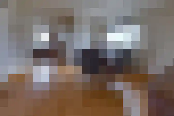 Vledderdiep 85 Nieuw-Weerdinge thumbnail 17
