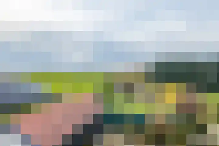 Vledderdiep 85 Nieuw-Weerdinge thumbnail 34