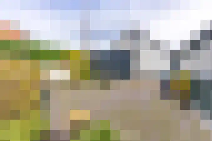 Vledderdiep 85 Nieuw-Weerdinge thumbnail 36