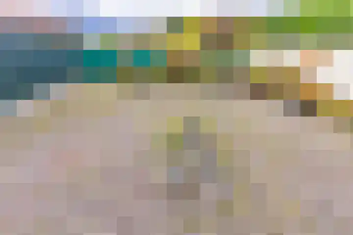 Vledderdiep 85 Nieuw-Weerdinge thumbnail 38
