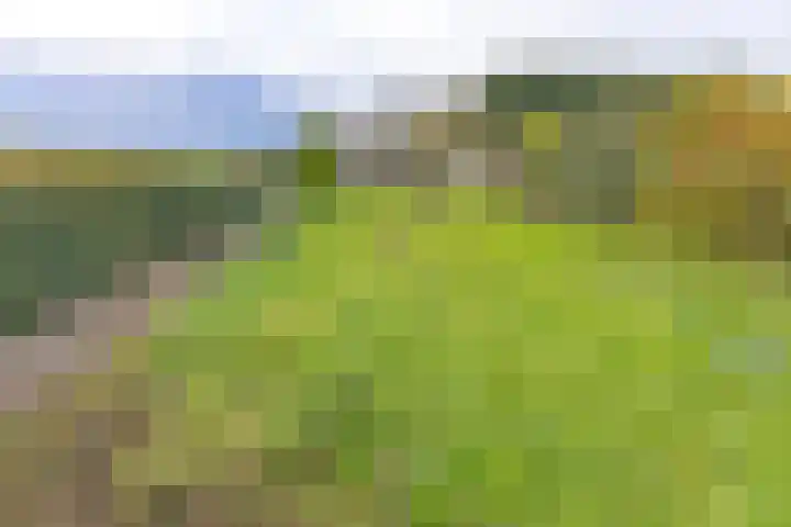 Vledderdiep 85 Nieuw-Weerdinge thumbnail 39
