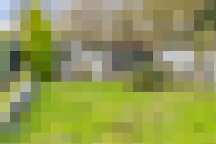 Vledderdiep 85 Nieuw-Weerdinge thumbnail 40