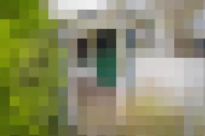Vledderdiep 85 Nieuw-Weerdinge thumbnail 41