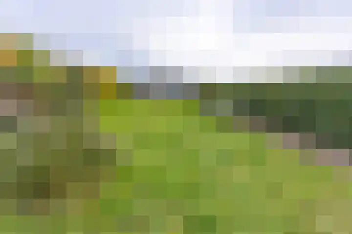 Vledderdiep 85 Nieuw-Weerdinge thumbnail 43