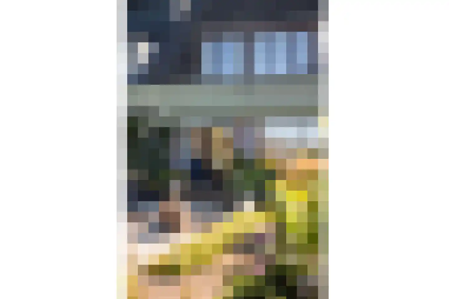 Vledderdiep 9 Zwolle thumbnail 16