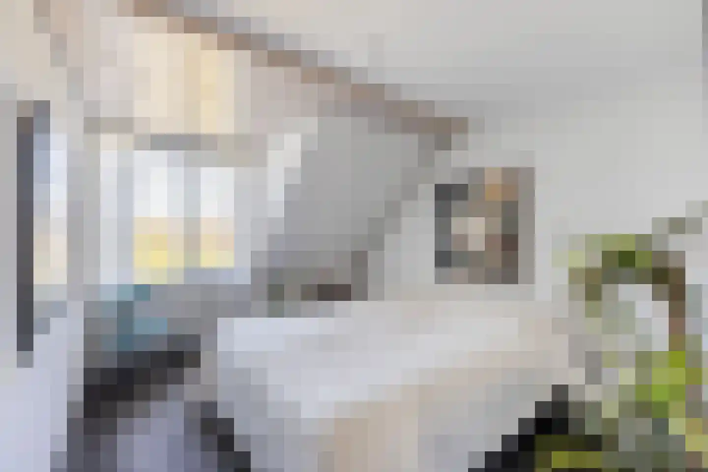 Vledderdiep 9 Zwolle thumbnail 22