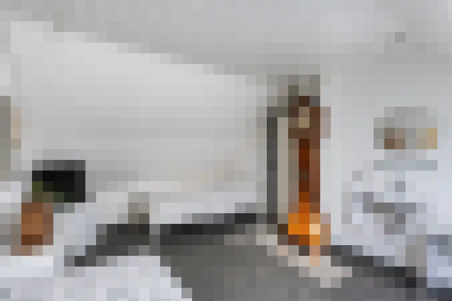 Vledderdiep 9 Zwolle thumbnail 28