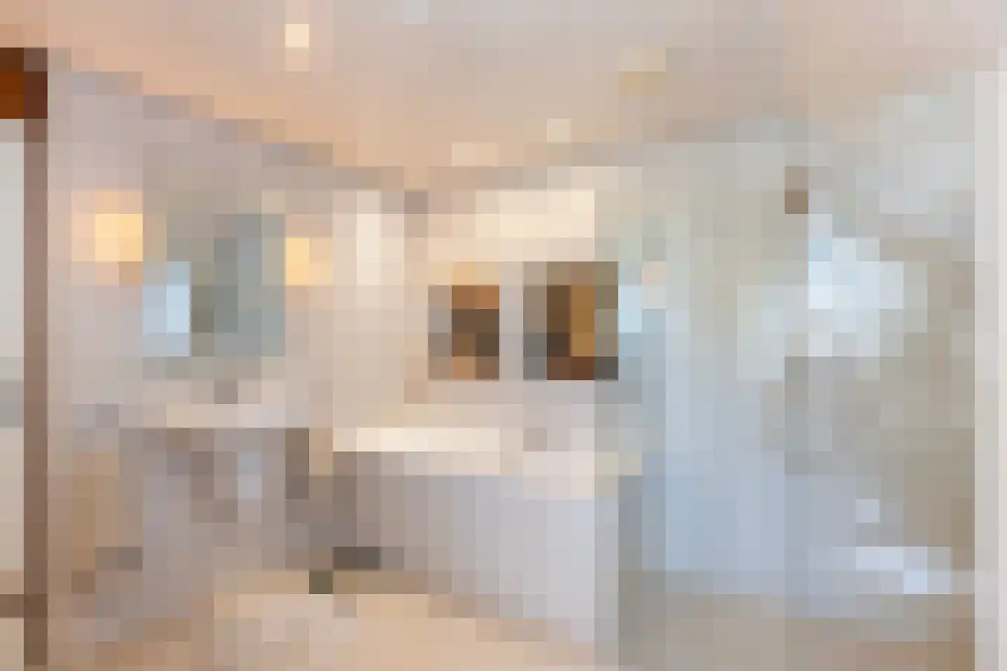 Vledderdiep 9 Zwolle thumbnail 31