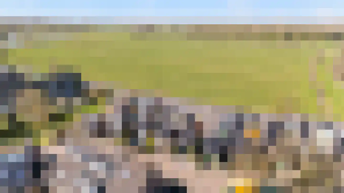 Vledderdiep 9 Zwolle thumbnail 33