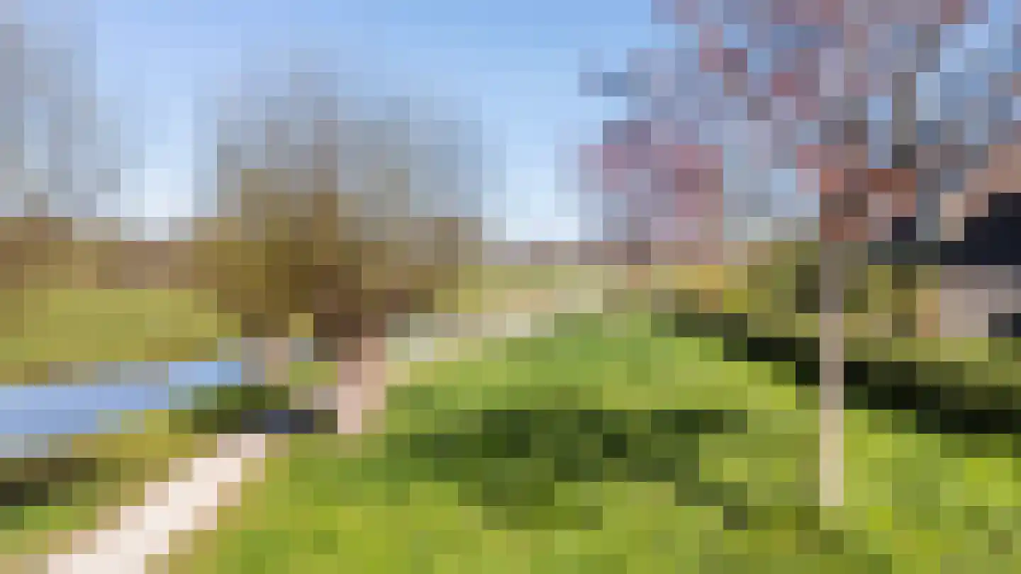 Vledderdiep 9 Zwolle thumbnail 37