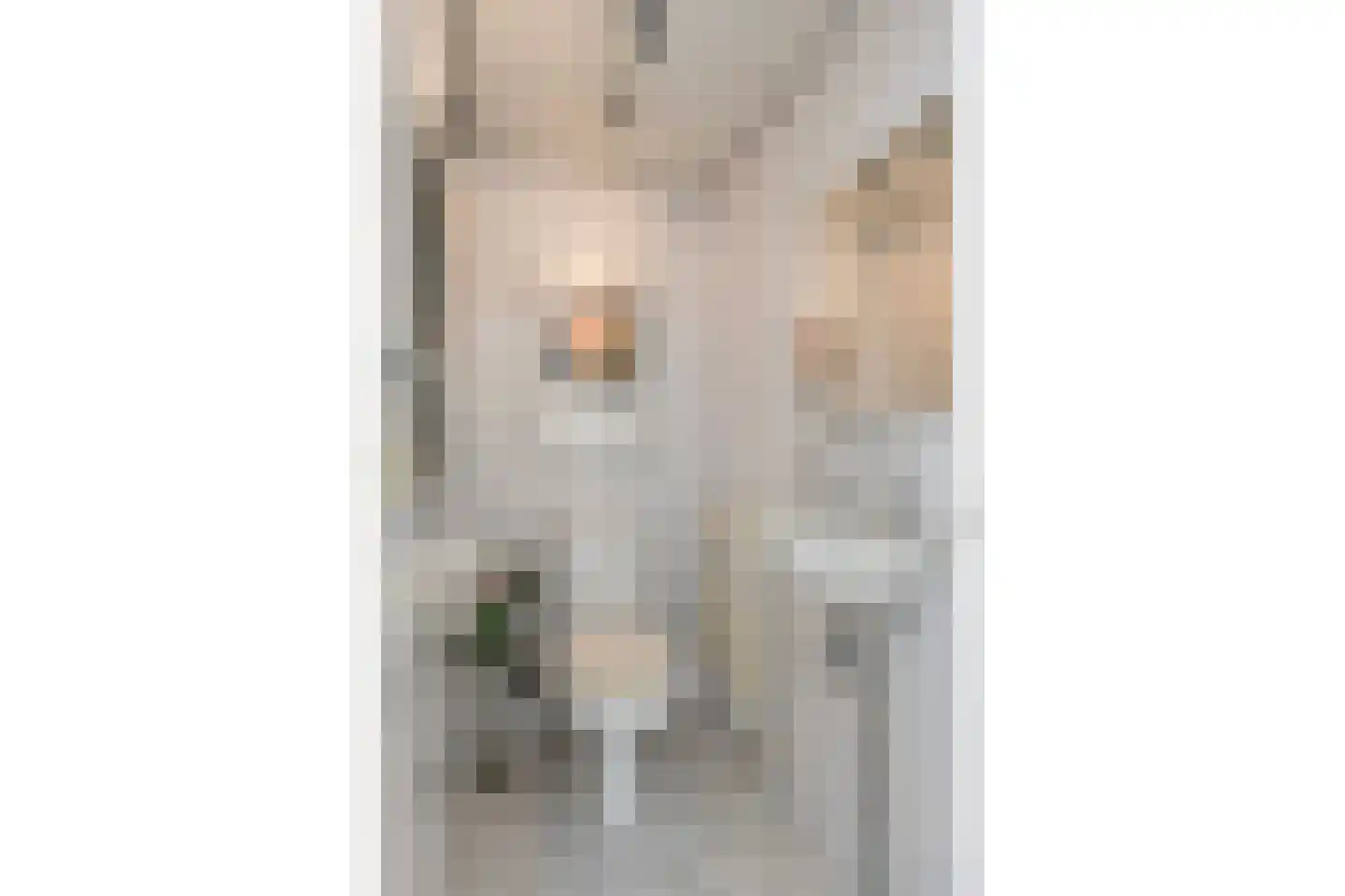 Vledderdiep 9 Zwolle thumbnail 8