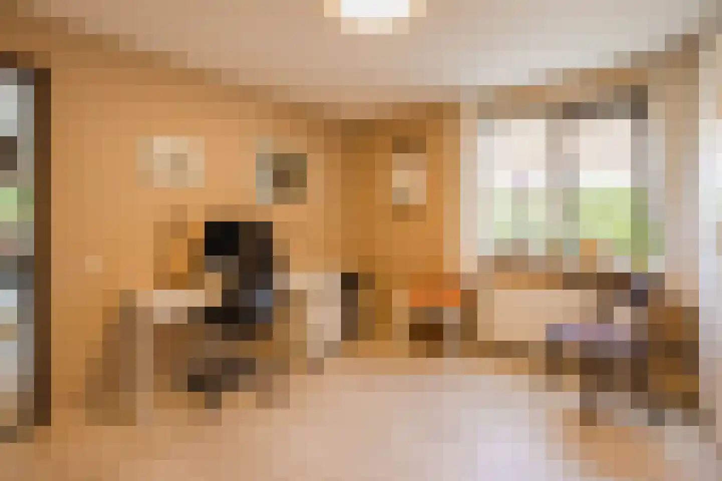 Vledderholt 7 Vledder thumbnail 12