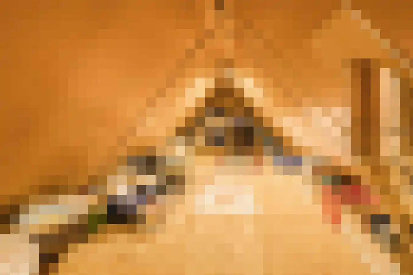 Vledderholt 7 Vledder thumbnail 24