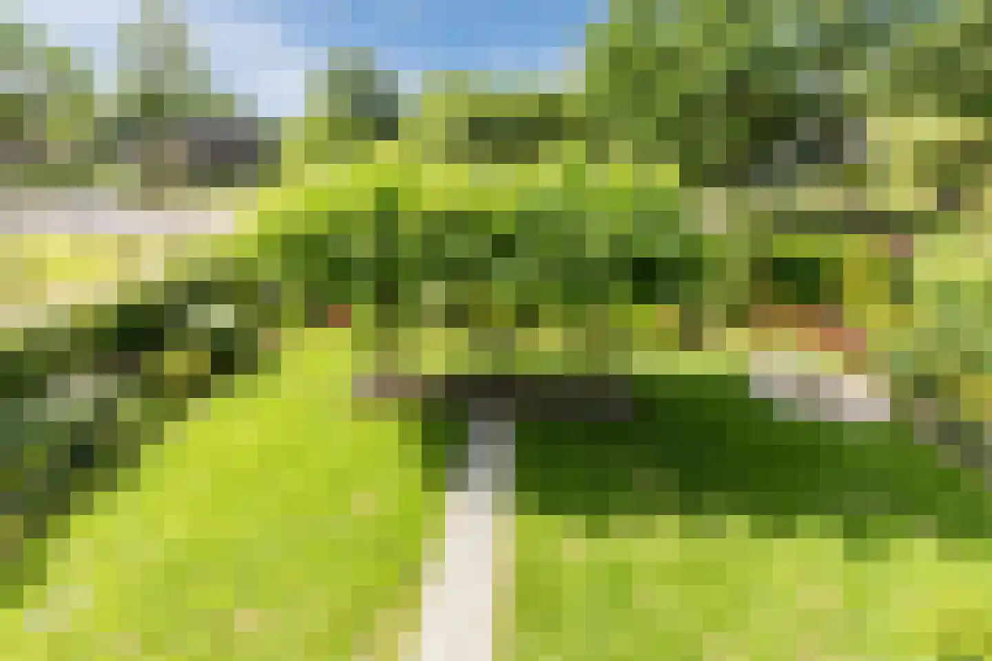 Vledderholt 7 Vledder thumbnail 25