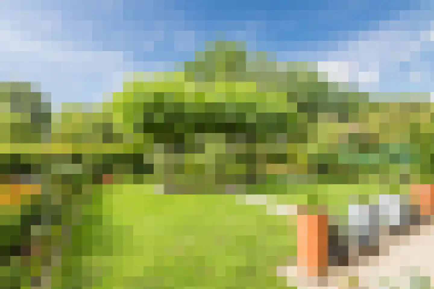 Vledderholt 7 Vledder thumbnail 26