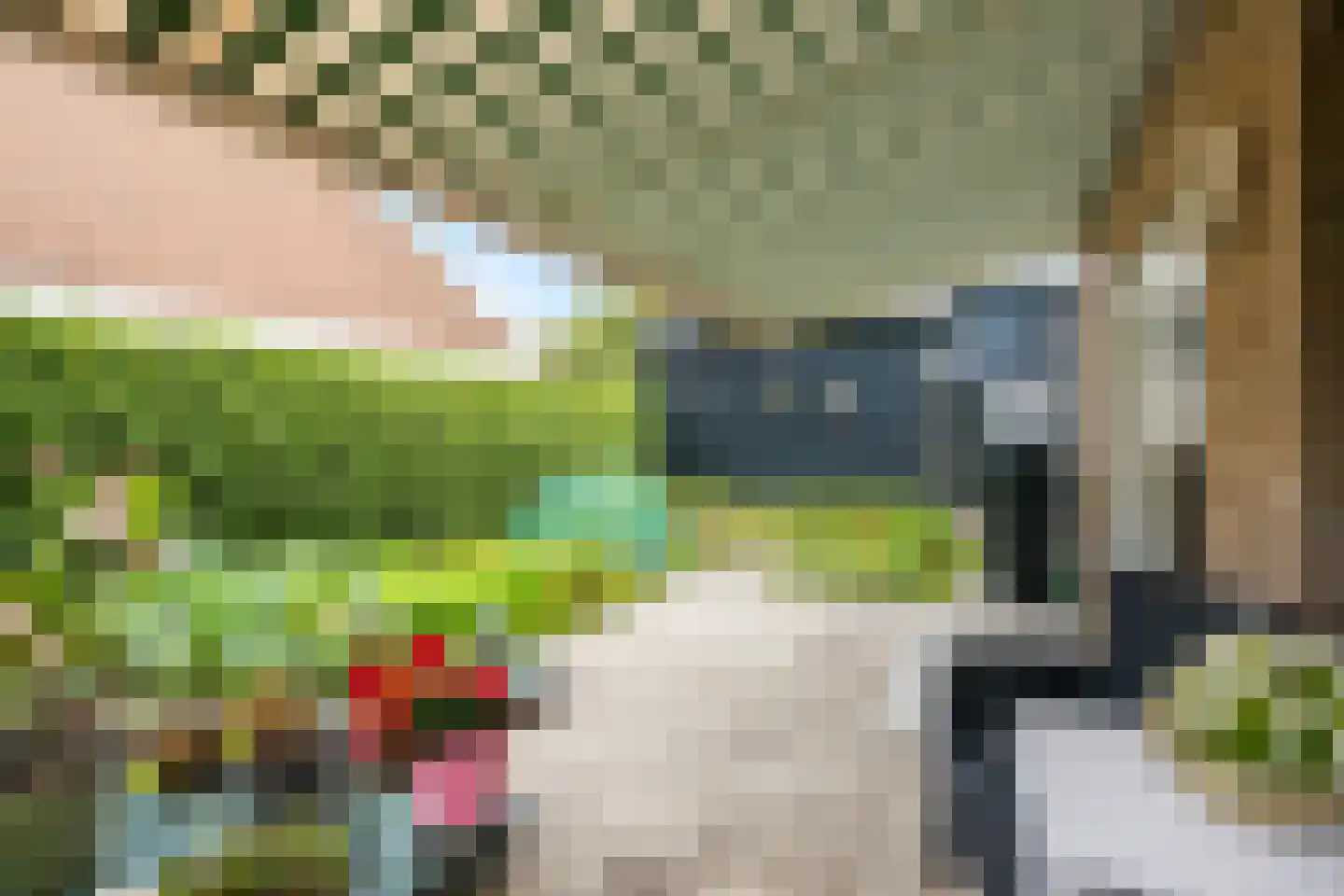 Vledderholt 7 Vledder thumbnail 29