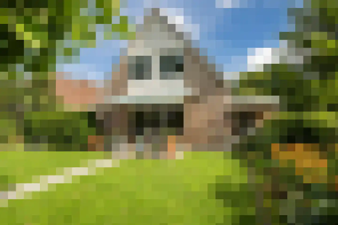 Vledderholt 7 Vledder thumbnail 31