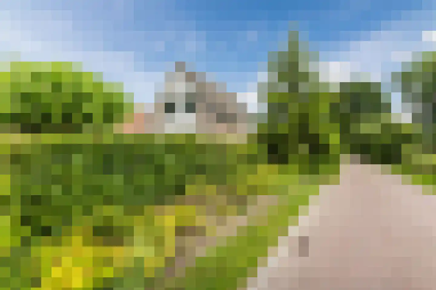 Vledderholt 7 Vledder thumbnail 35