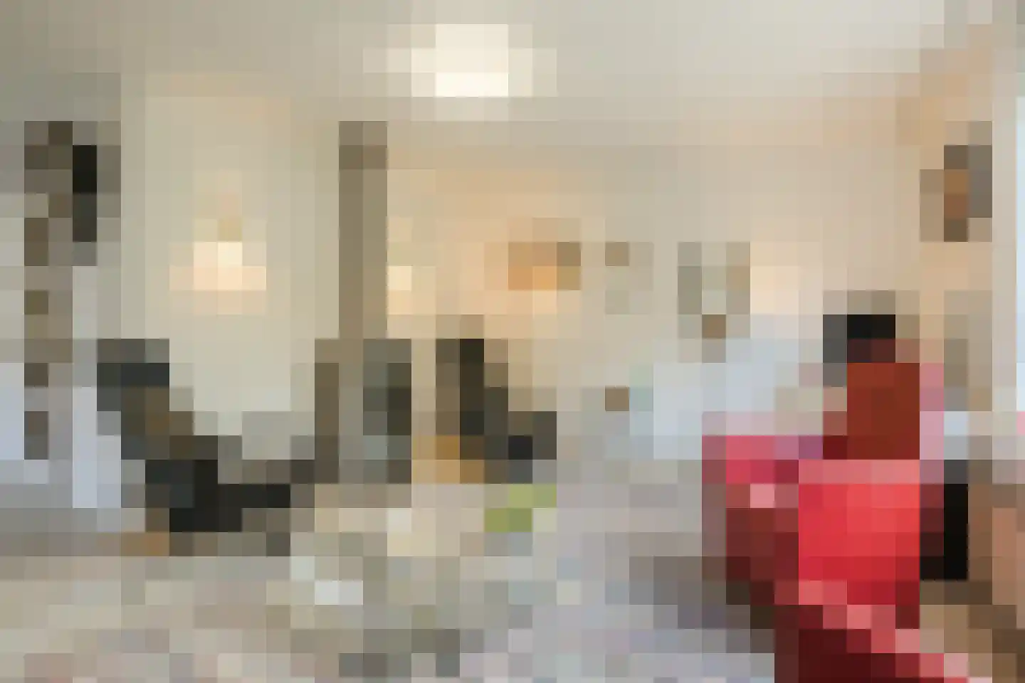 Vledderholt 7 Vledder thumbnail 5