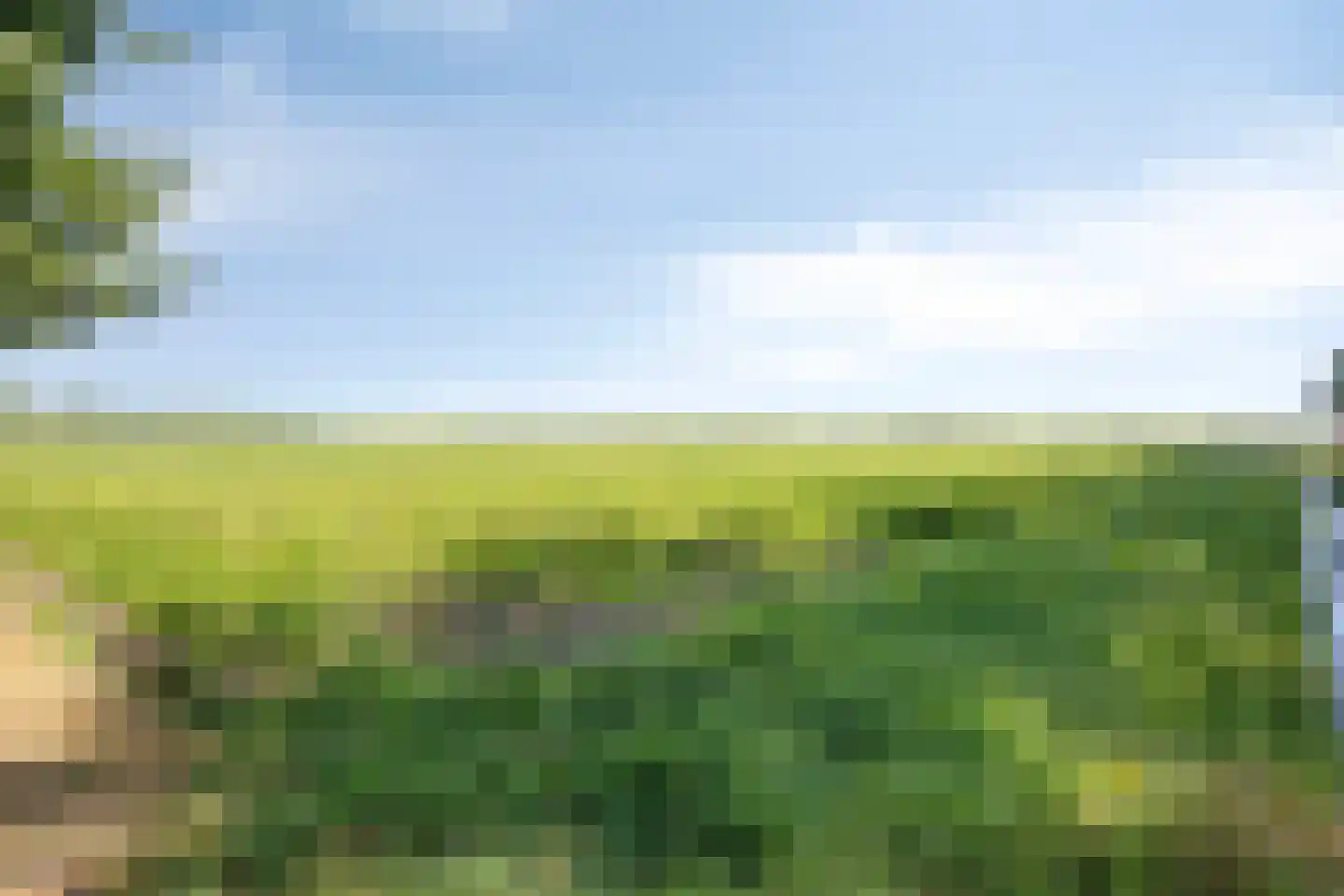 Vledderhuizen 10 Onstwedde thumbnail 11