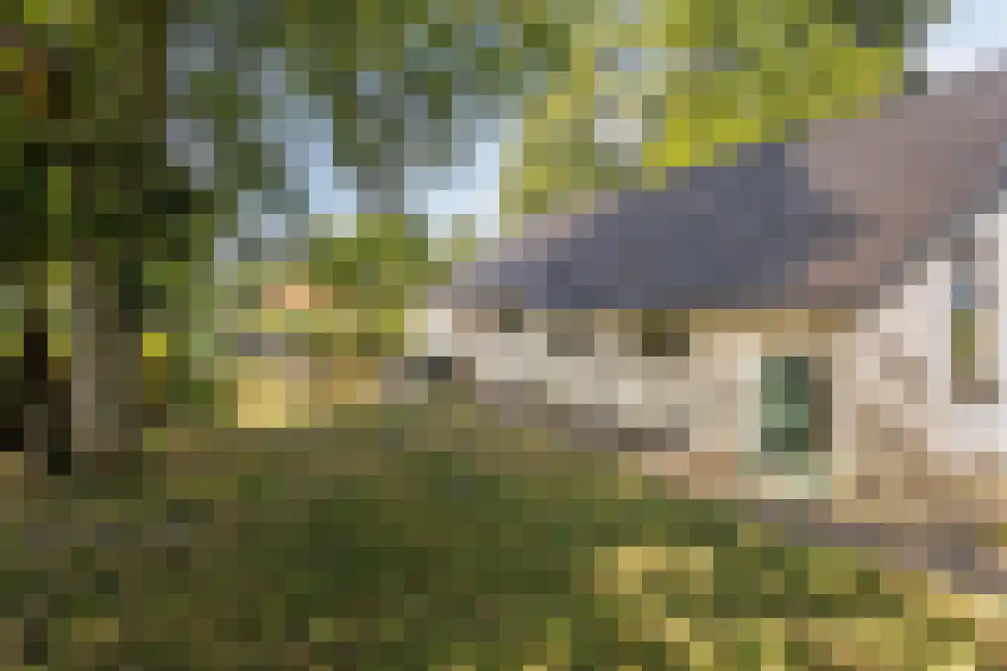 Vledderhuizen 10 Onstwedde thumbnail 13