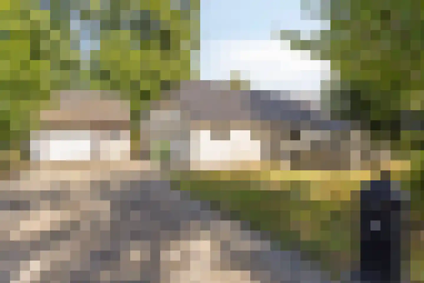 Vledderhuizen 10 Onstwedde thumbnail 15