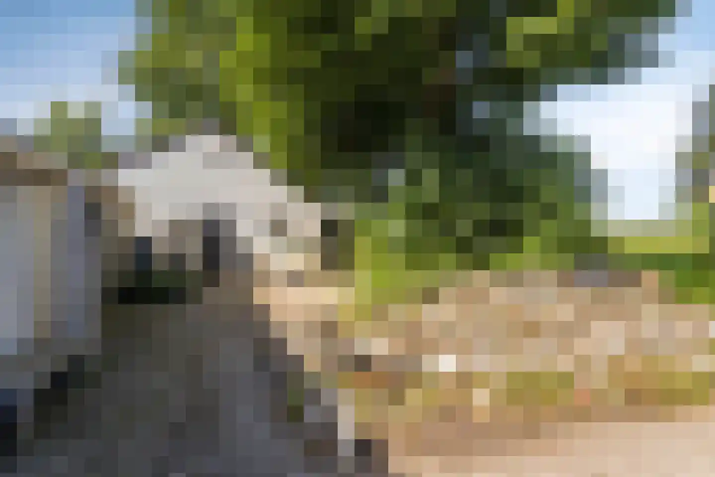 Vledderhuizen 10 Onstwedde thumbnail 16