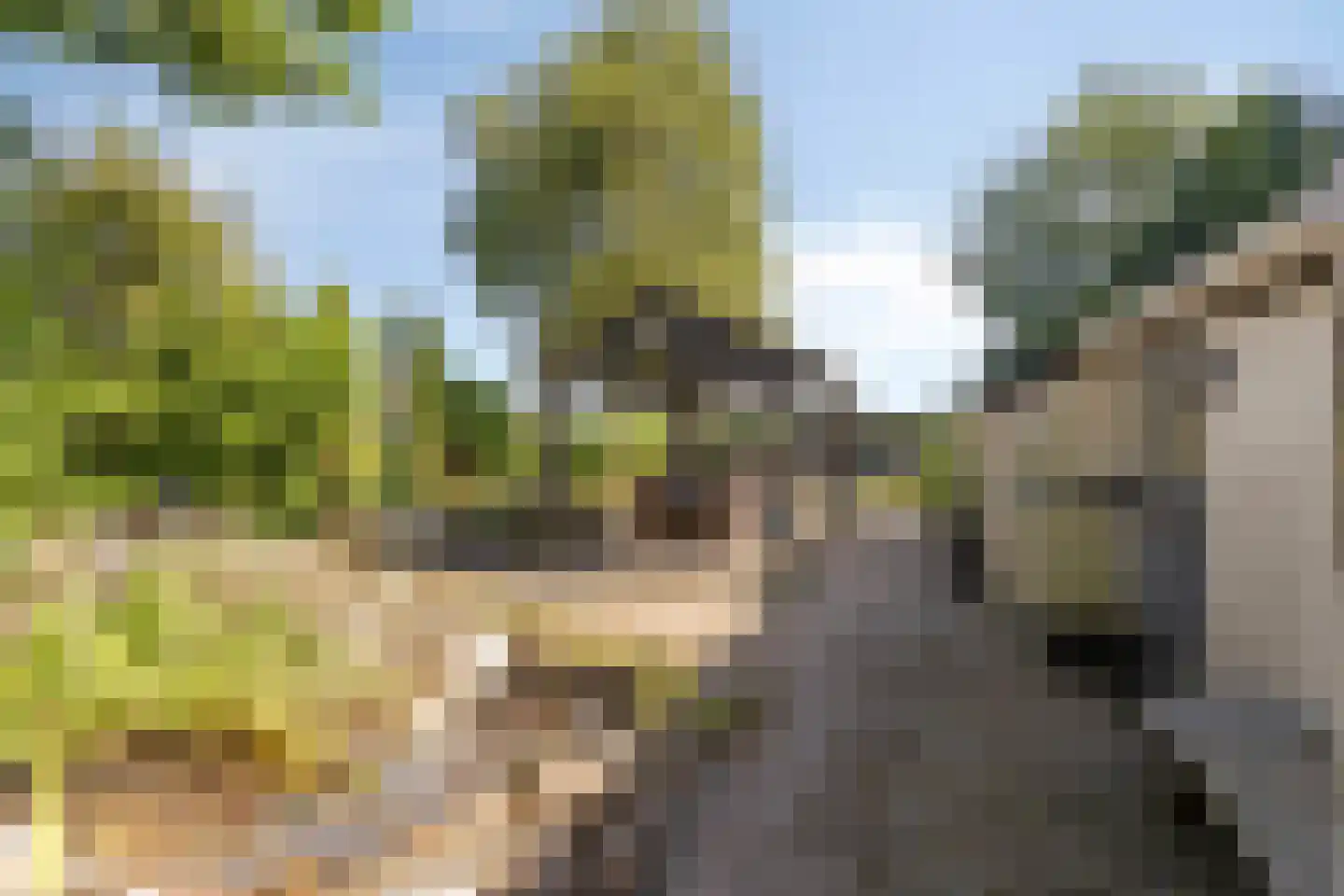 Vledderhuizen 10 Onstwedde thumbnail 17