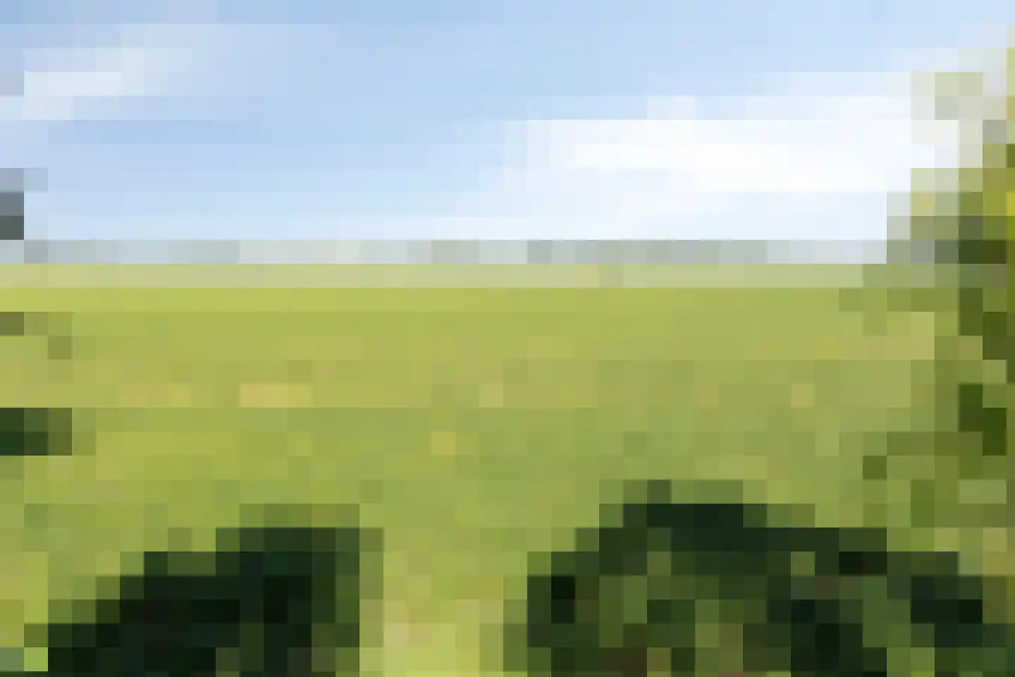 Vledderhuizen 10 Onstwedde thumbnail 20