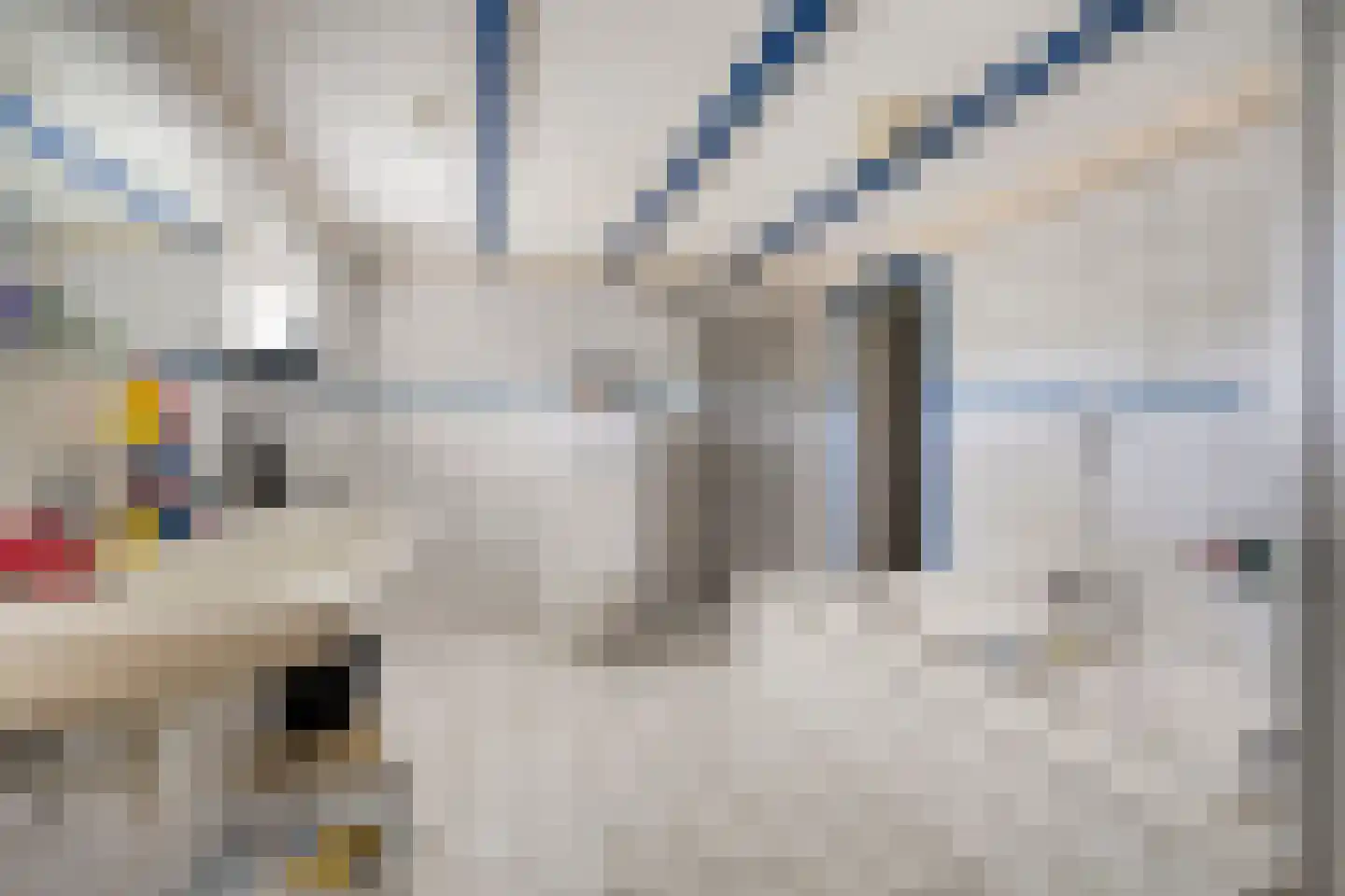 Vledderhuizen 10 Onstwedde thumbnail 25