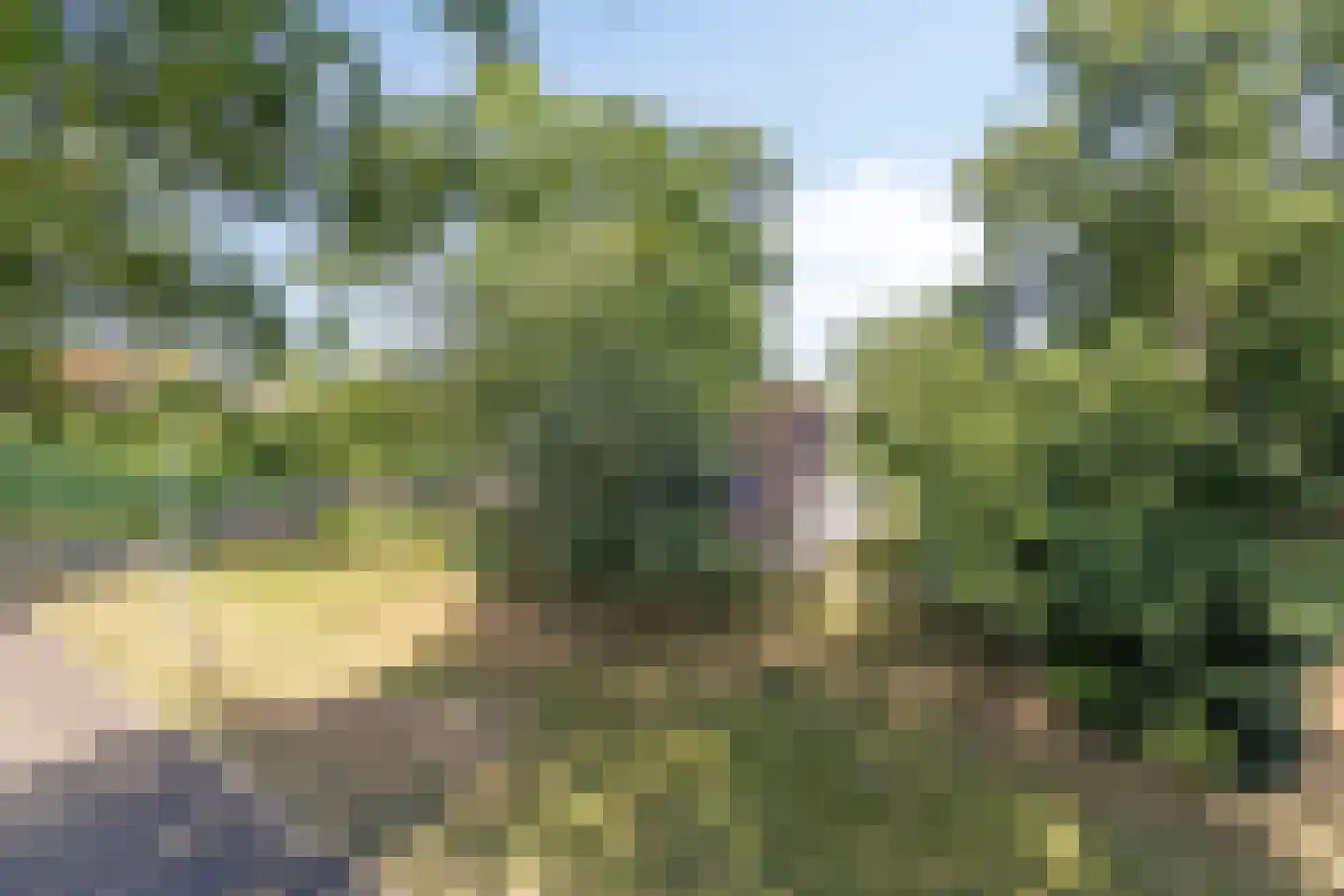 Vledderhuizen 10 Onstwedde thumbnail 7