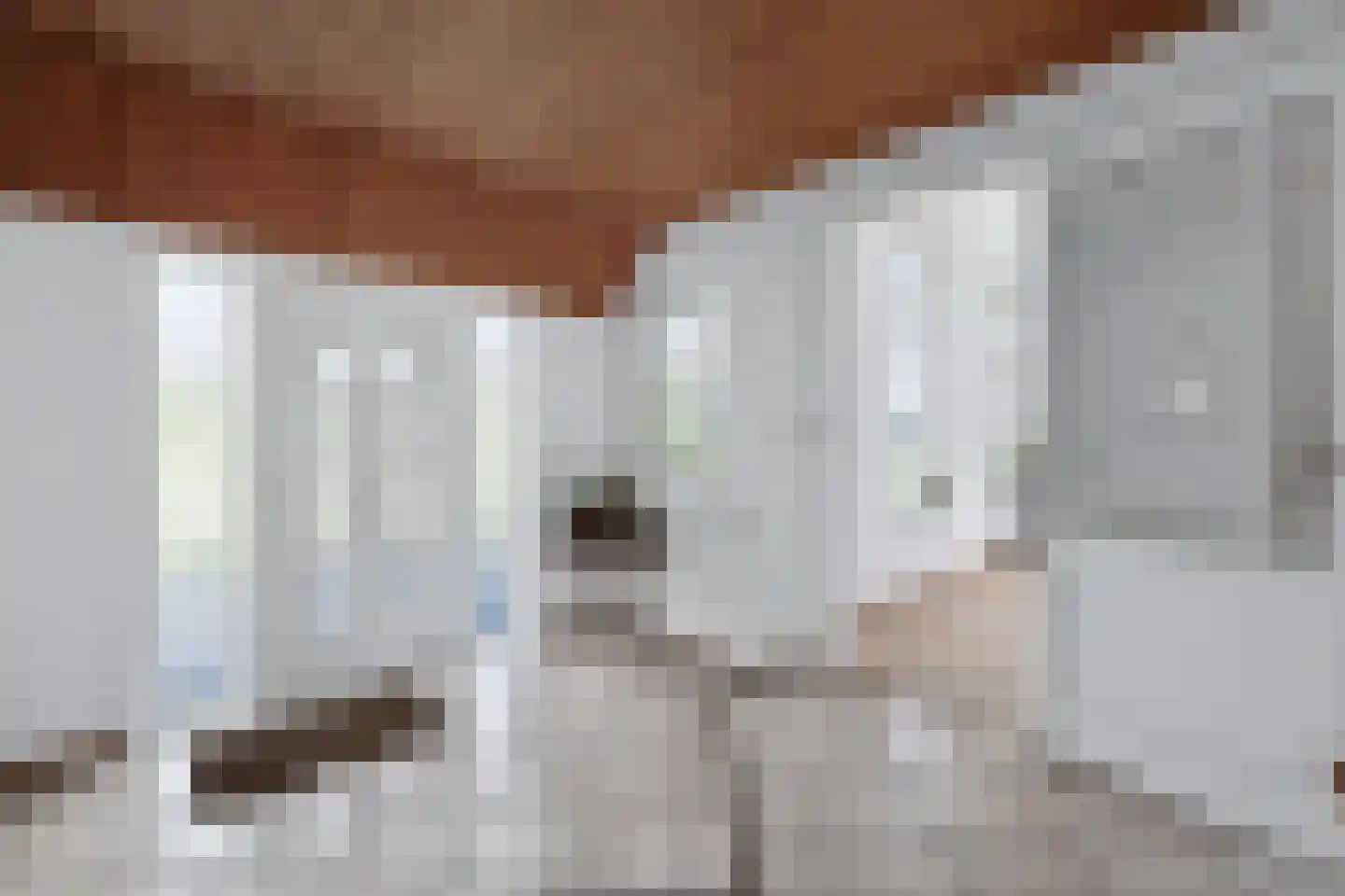 Vledderhuizen 23 Onstwedde thumbnail 12
