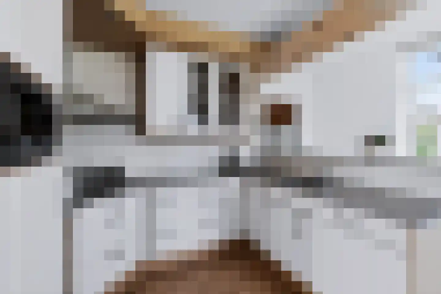 Vledderhuizen 23 Onstwedde thumbnail 15