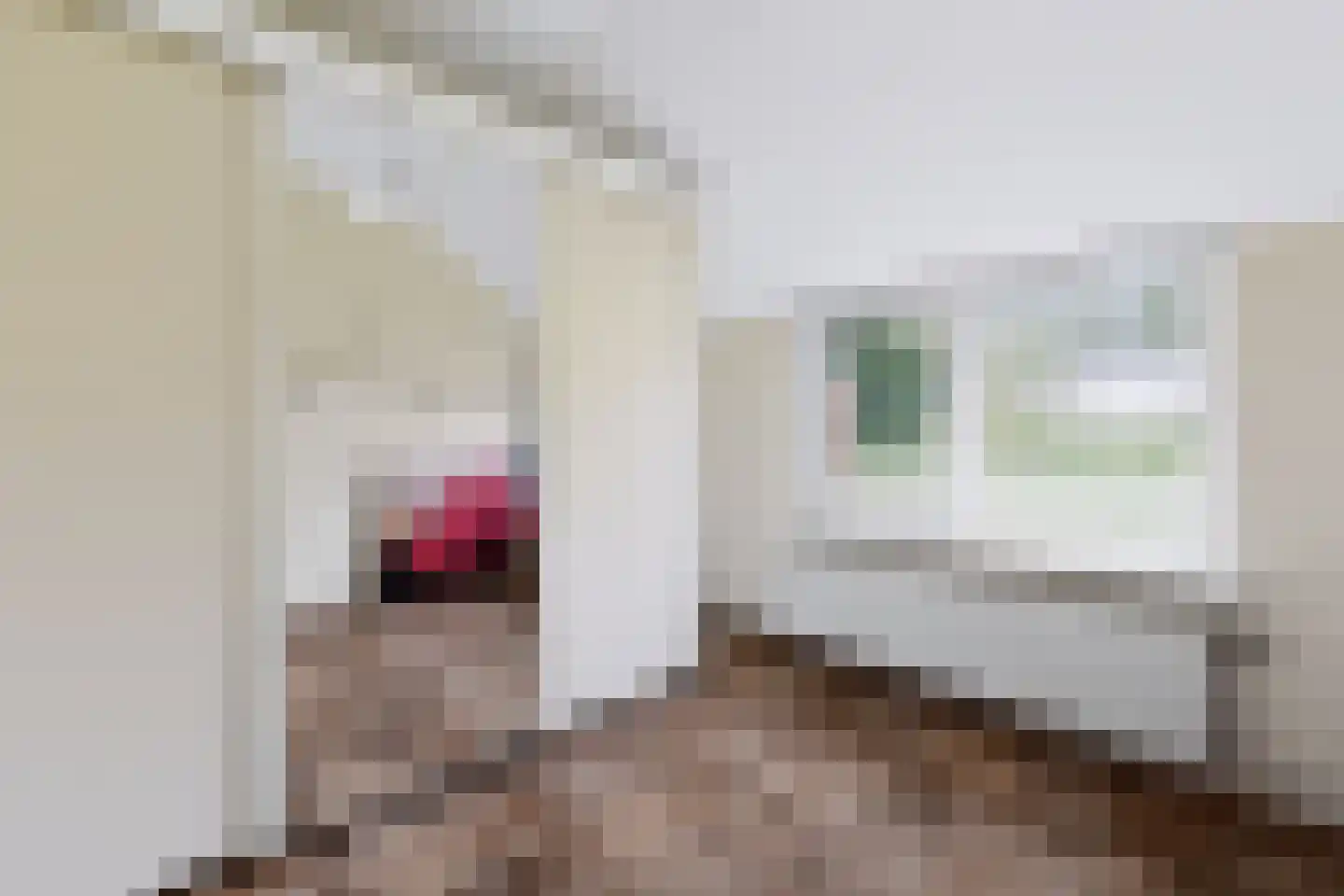 Vledderhuizen 23 Onstwedde thumbnail 25