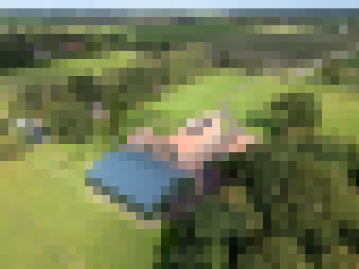 Vledderhuizen 23 Onstwedde thumbnail 4