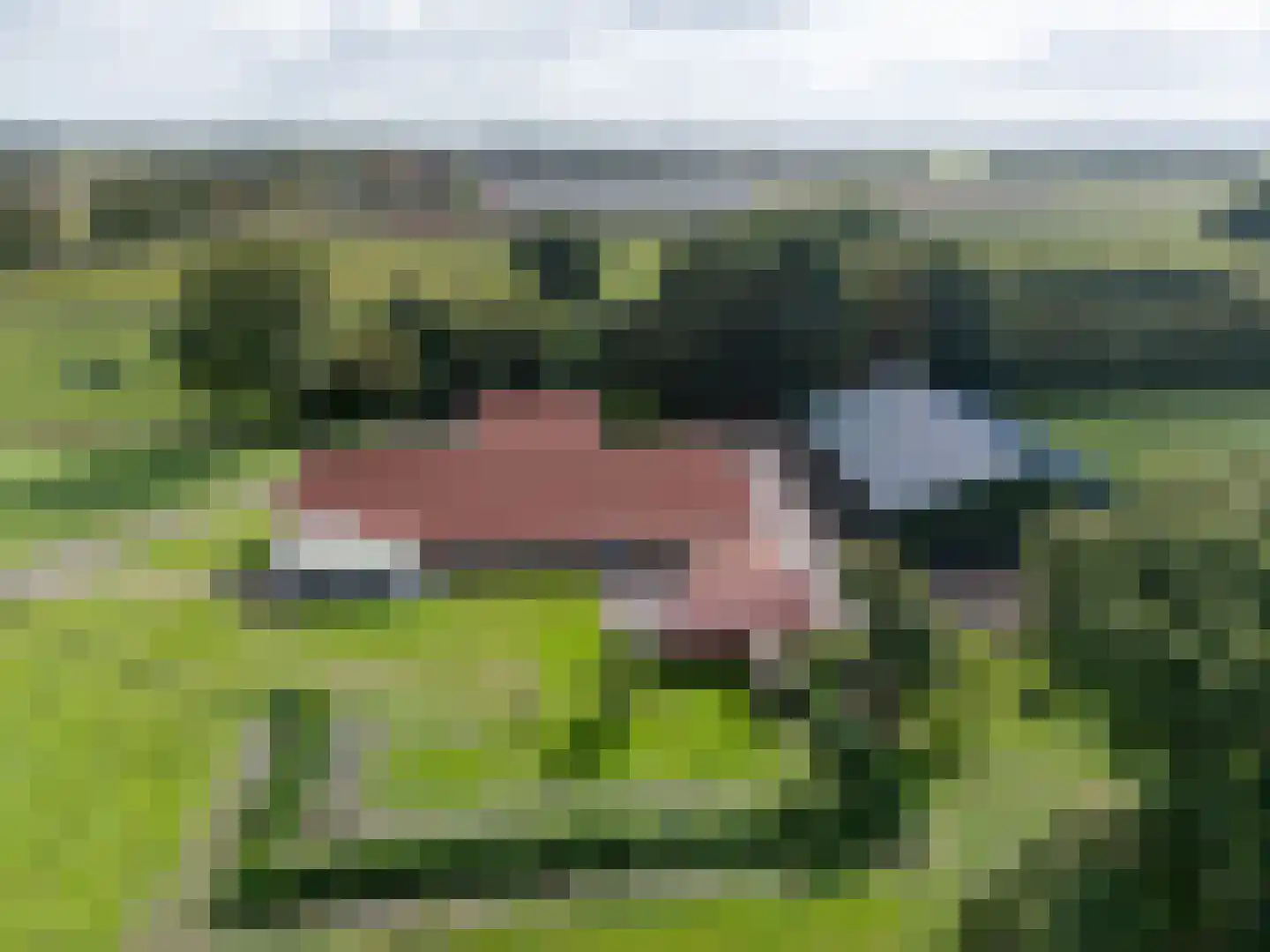 Vledderhuizen 23 Onstwedde thumbnail 63