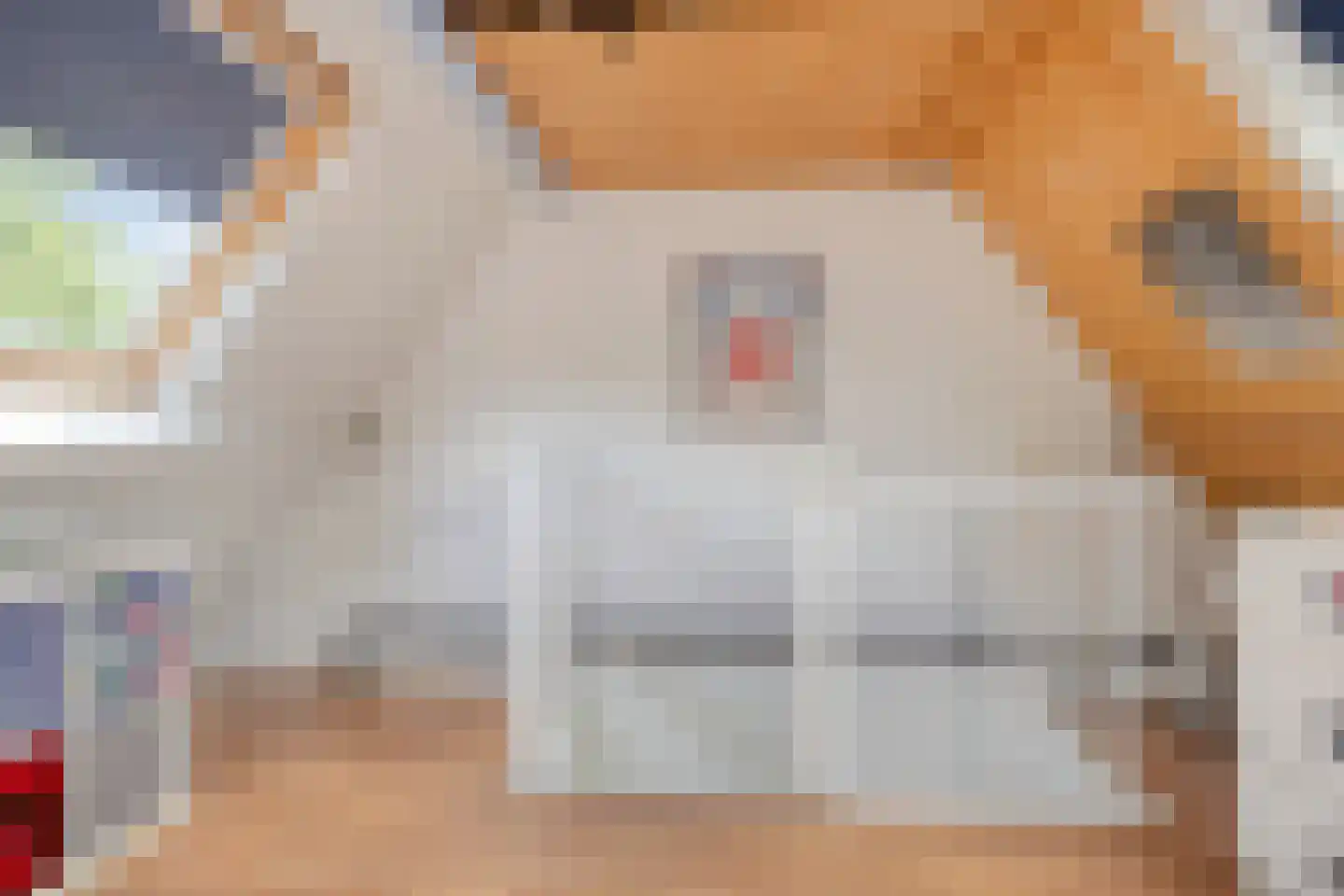Vledderinge 14 Zuidlaren thumbnail 27