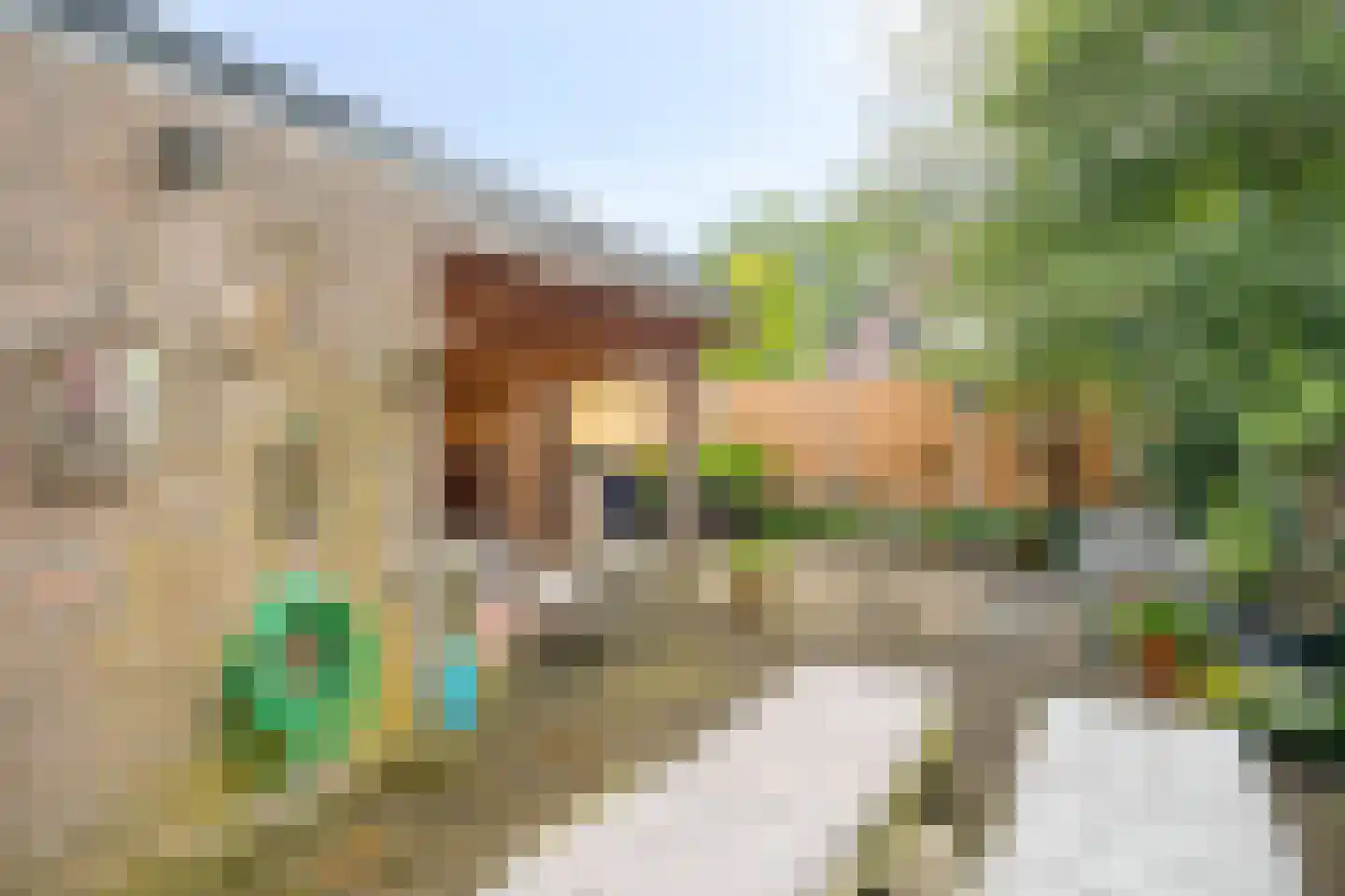 Vledderinge 14 Zuidlaren thumbnail 29