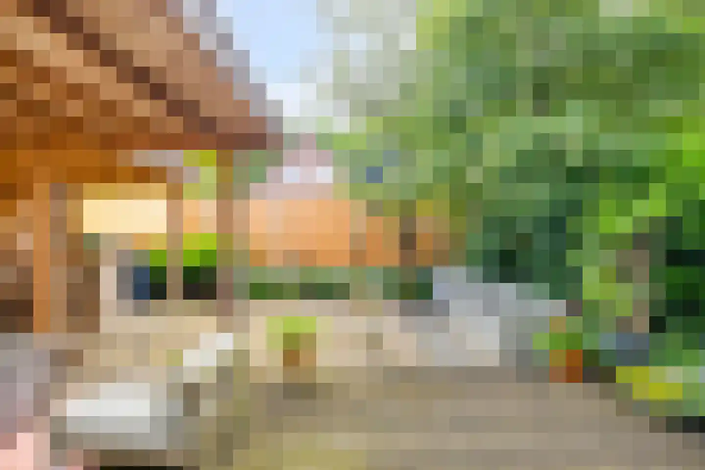 Vledderinge 14 Zuidlaren thumbnail 30